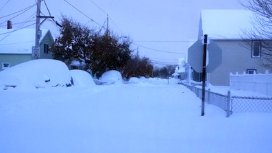 Buffalo-snow-cnn.jpg