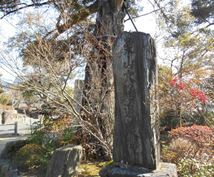 円清寺境内・カヤの老木傍に栗山大膳（善助の子）の追悼碑