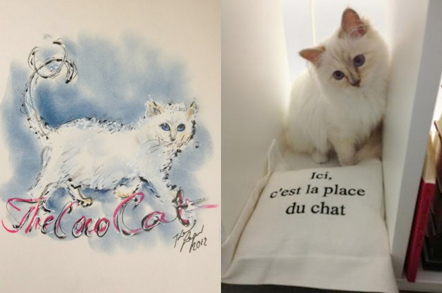 Karl-Lagerfeld-Choupette-Coco-Cat-2.jpg