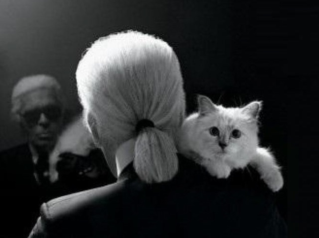 Karl-Lagerfeld-Choupette-Coco-Cat.jpg
