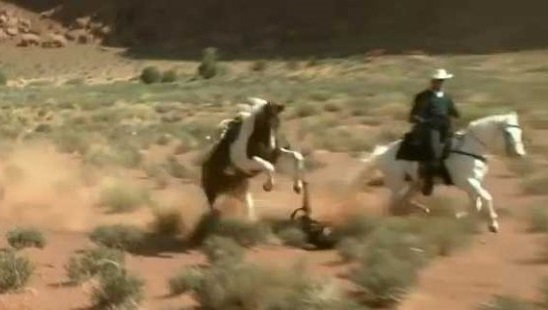 johnny-depp-horse-the-lone-ranger-1.jpg