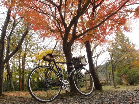 二ノ瀬峠　自転車