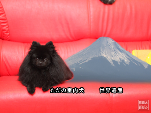 20130630_富士山犬2