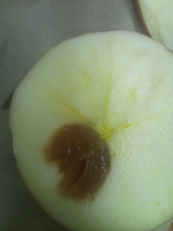 りんごを切ったら茶色かった 青果担当者ブログ やおやの日常そして野菜と果物の目利き
