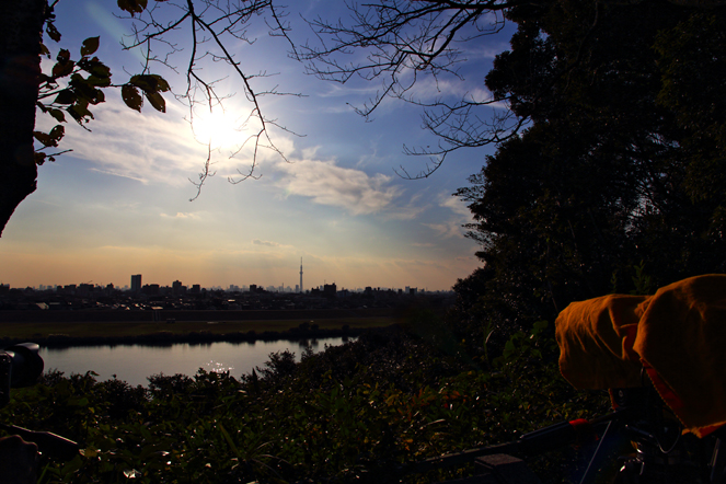 ダイヤモンド富士(里見公園) 2013.11.8 2 IMG_8632
