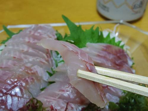 sashimi of sebastes inermis, 250619 1-5_s