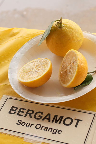 Bergamot_-_Sour_Orange_-_January_2013.jpg