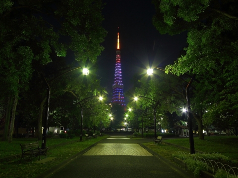 東京タワー　オランダダイヤモンドヴェール