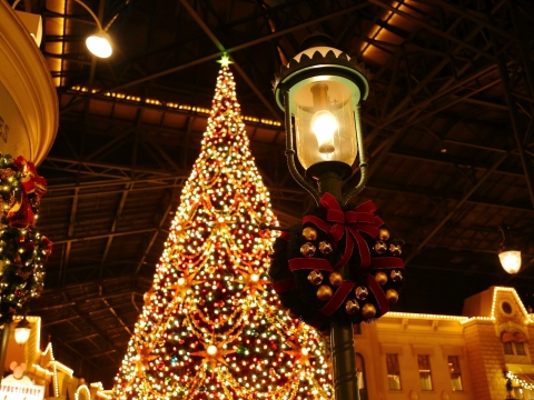 東京ディズニーランド　クリスマスイルミネーション2014