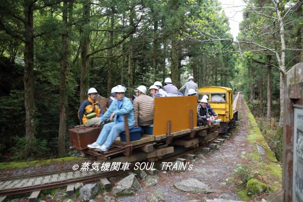 蒸気機関車 Soul Train S 素晴らしき 安房森林軌道