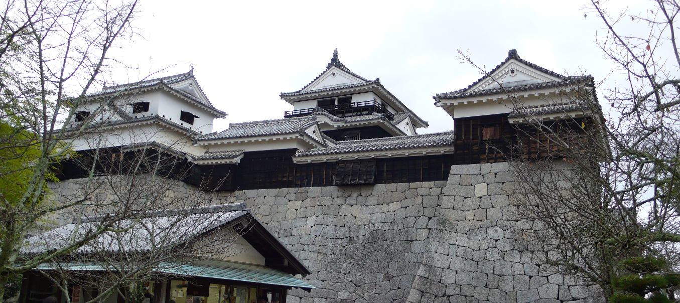 20141201matsuyama_castle.png