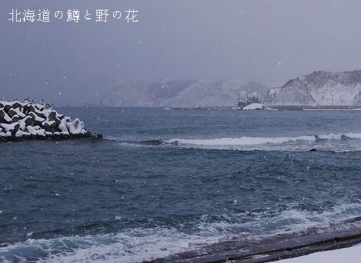 2014野塚漁港横
