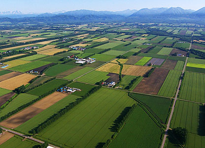 日本に農業はいらないって意見論破できる？